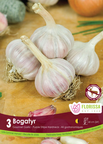 Garlic Bogatyr Tops