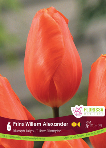 Tulip Prins Willem Alexander