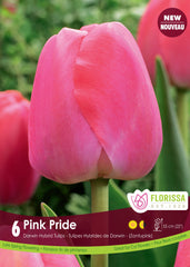 Tulip Pink Pride