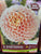 Dahlia DP Sweet Suzanne