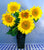 Sunflower Van Gogh