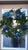 CLASS STRAW Wreath 11/23 10 am