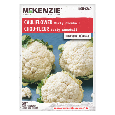 Cauliflower Early Snowball