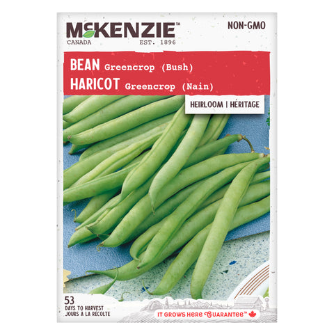 Bean Greencrop (Bush)