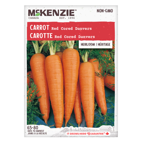 Carrot Red Cored Danvers