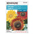 Sunflower Autumn Beauty