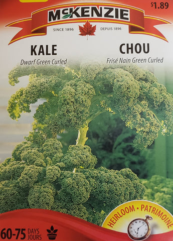 Kale Dwarf Green Curled