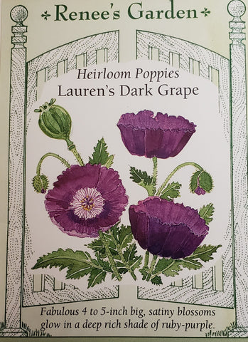 Poppy Lauren's Grape