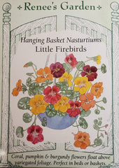 Nasturtium Little Firebirds