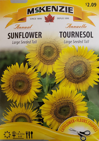 Sunflower Large Seeded Tall