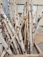Birch Poles 4-6 ft