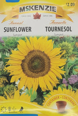 Sunflower Sunspot