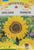 Sunflower Sunspot