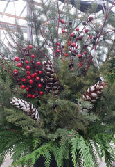 Outdoor Container - (B) Pinecones with Berries