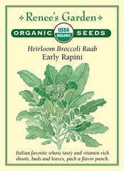 Broccoli Raab Rapini Organic