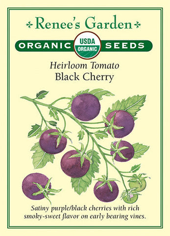 Tomato Cherry Black Organic