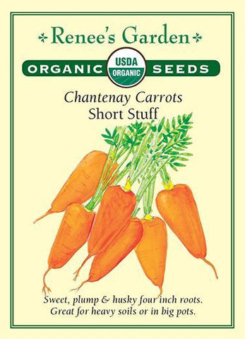 Carrot Chantenay Short Stuff Organic