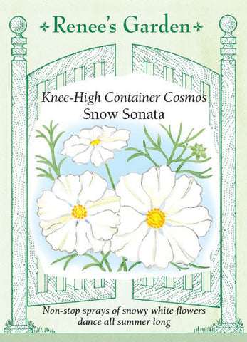 Cosmos Sonata Snow White
