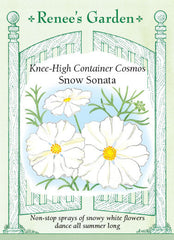 Cosmos Sonata Snow White