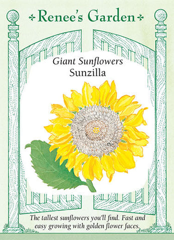 Sunflower Sunzilla Giant