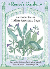 Sage Italian Aromatic