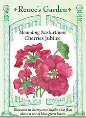 Nasturtium Cherries Jubilee