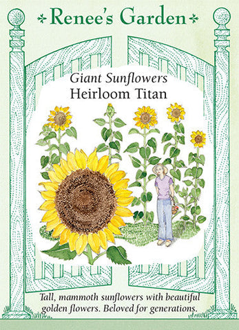 Sunflower Titan Giant