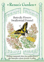 Fennel Pollinator/Butterfly