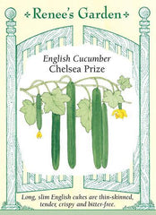Cucumber Chelsea Prize