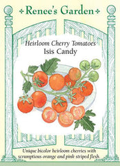 Tomato Cherry Isis Candy