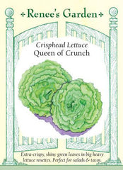 Lettuce Queen of Crunch