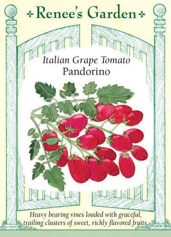 Tomato Grape Pandorino