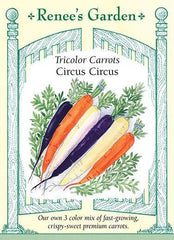 Carrot Circus Circus Tri-color