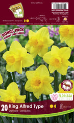 Daffodil King Alfred Bonus Pack