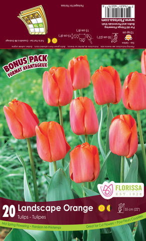 Tulip Landscape Orange - Bonus Pack