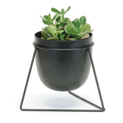 Planter in Triangle