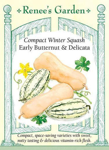 Squash Winter Delicata & Butternut