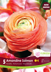 Ranuncules Amandine Salmon