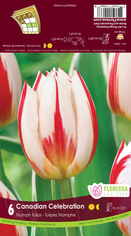 Tulip Canadian Celebration