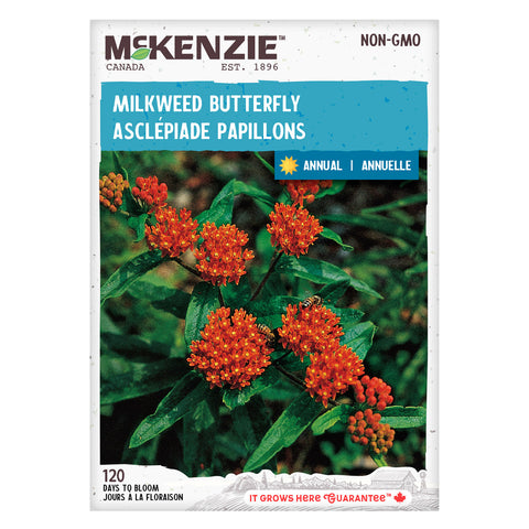 Milkweed Butterfly