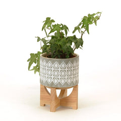 Pot on Wood Stand