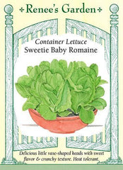 Lettuce Sweetie Baby Romaine