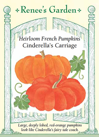 Pumpkin Cinderlla's Carriage
