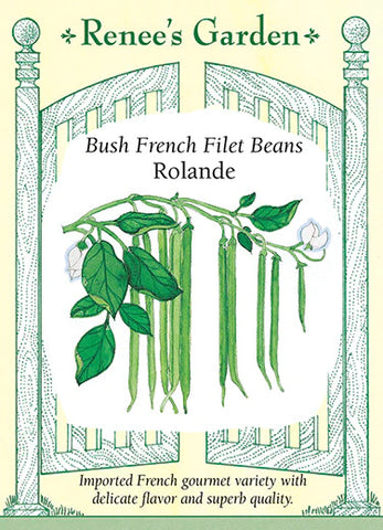 Bean Bush Rolande French