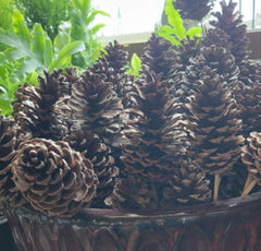 Pinecone Pick -Large
