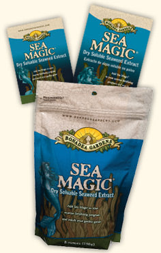 Sea Magic - 30 gram