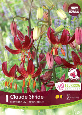 Lily Martagon Claude Shride