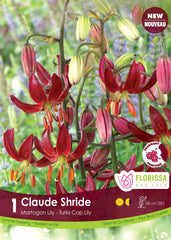 Lily Martagon Claude Shride