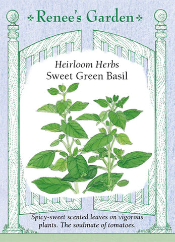 Basil Sweet Green