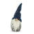 Blue Hat Gnome
